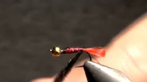 ,,ПЕРВАЯ НИМФА,, - ,,RED TAG,,  SVA