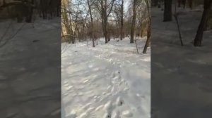 Основа умного целибата! #половоевоздержание #целибат