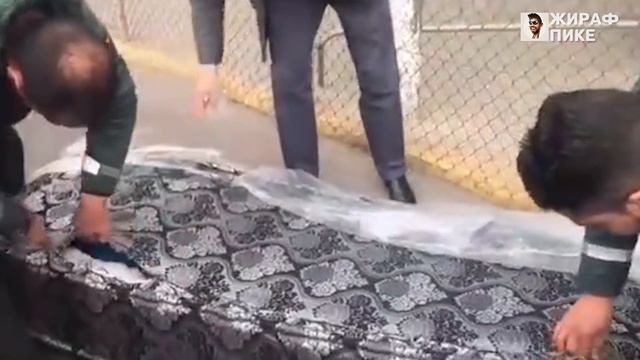 ГОЛОВИН ЗАБИЛ ПЕРВЫМ ЖЕ КАСАНИЕМ ВЫЙДЯ НА ПОЛЕ ВПЕРВЫЕ С АВГУСТА