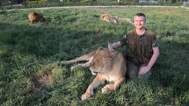 Тайган в Крыму смотреть онлайн