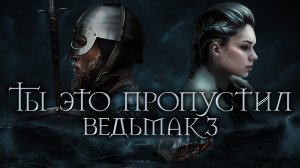 СКРЫТЫЕ КВЕСТЫ В ВЕДЬМАК 3