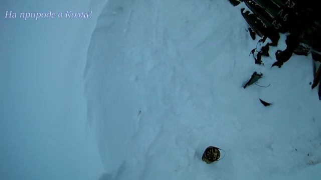 Будни в деревне #37 /Покормил собаку/ смотреть онлайн