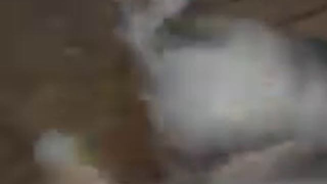 MVI 0716 продажа щенков хаски смотреть онлайн