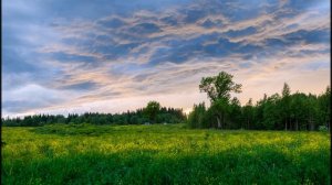 Природа и животный мир.   Природные пейзажи РОССИИ.