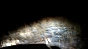 LEXUS RX300 на бездорожье.4.