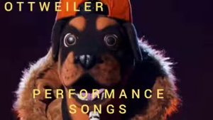 Rottweiler All songs Performance Chris Daughtry