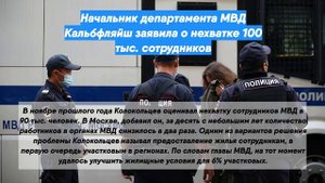 Начальник департамента МВД Кальбфляйш заявила о нехватке 100 тыс. сотрудников