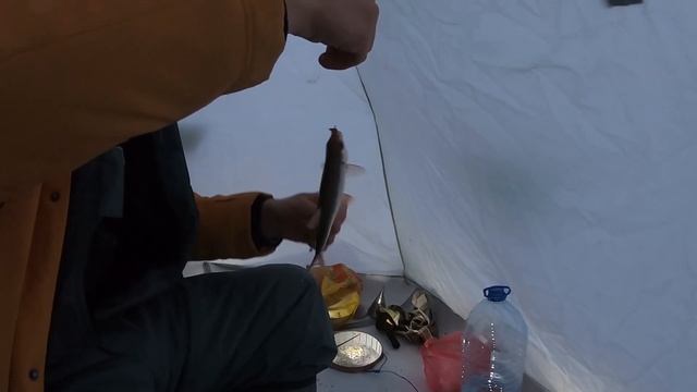 Такой РЫБАЛКИ мы НЕ ОЖИДАЛИ!!!/ Ловля ЛЕЩА и ПЛОТВЫ!/ Жерлицы!