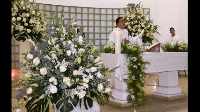 FLORISTERIA VICTORIA REGIA FLORENCIA смотреть онлайн