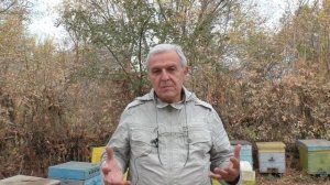 Нужно-ли оставлять перговые рамки в зиму?
