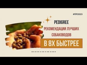 Pedigree — «Рекомендации лучших собаководов» в 8х быстрее | PRO Рекламу