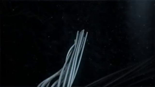 Are you dralonized? (Dralon GmbH Germany) смотреть онлайн