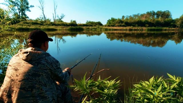 Утренняя рыбалка на поплавок на карася. Попал на бешенный клев карася! смотреть онлайн