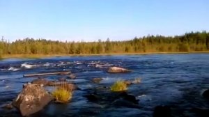 Карелия, р. Тунгуда, 2015 г.