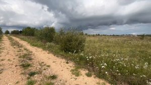 Вдоль участка 2 Га к дороге.