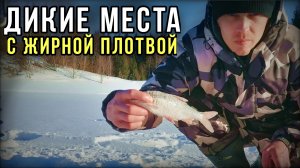 Ловля крупной плотвы. Отличный клёв на мормышку.Зимняя рыбалка.