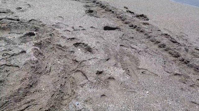 Как мы строили с девочками морской замок!!! смотреть онлайн