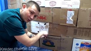 Замок для кота Рыжика из коробок своими руками