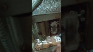 коротко о предвспениватель  полистирола