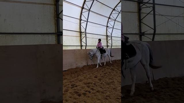 Возобновляем тренировки с нашим младшим спортсменом Ольгой. ?