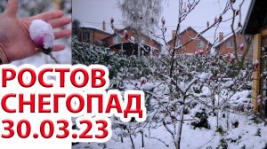 Арктическое вторжение в Ростове-на-Дону -1С и снегопад в цветущем саду