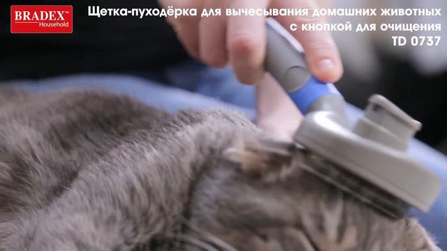 Bradex TD 0737 Щетка-пуходёрка для вычесывания домашних животных с кнопкой для очищения смотреть онлайн