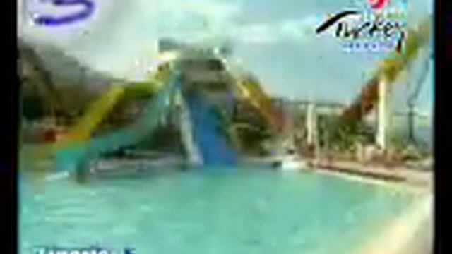 Liparis 5 Dutch смотреть онлайн