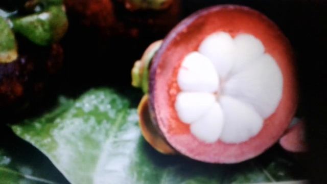 Мангостин - экзотический фрукт: польза и вред. смотреть онлайн
