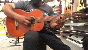 Gut Guitar Kiso Suzuki Violin Co.Ltd Nylon Guitar ( wilson’s music instruments) 03371476660