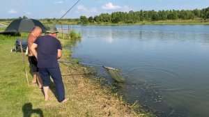 Вечерняя ловля карпа на трапер! Общий водоём