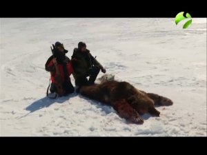 С полем! "За медведем на Полярный Урал" Часть 2