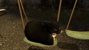 Half-Life 2, но у меня есть кот