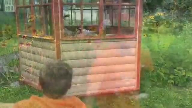 Чем занять детей летом на даче? Игра «Прятки игрушек» смотреть онлайн