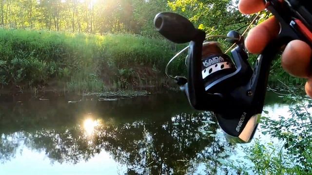 № 9 / Рыбалка на малой реке с поплавочкой / Ловим рыбу для кота / Тверская область / Река Судомля смотреть онлайн