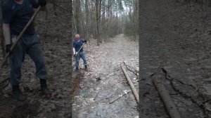 Нашли медный кабель в лесу.