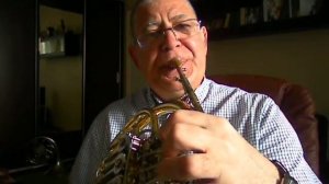 О постановке  мундштука при игре на валторне.