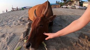 Индия. Северный Гоа ночью. Вечеринки в Гоа!!! (часть 2)