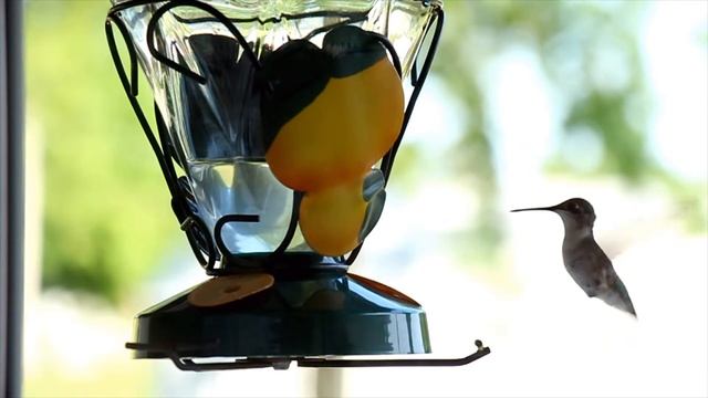 Canon 650D video test смотреть онлайн