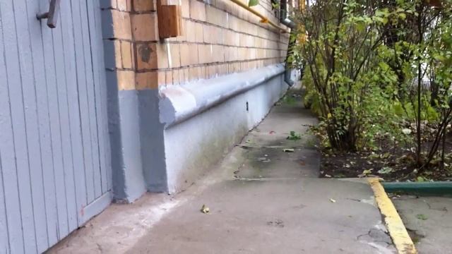 Дикие Кошки ... смотреть онлайн