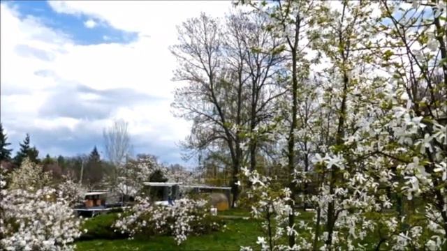 Поет М Подчаший Ребята семидесятой широты смотреть онлайн