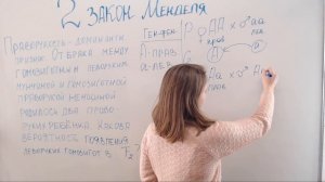 2 закон. Менделя решение задачи