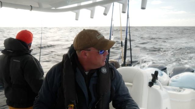 PNW Albacore Migration (Kevin Newell of TOTAL FISHERMAN Explains!) смотреть онлайн