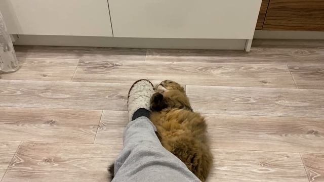 VLOG: Жарим БЛИНЫ/Болтаем/Уютный ВЕЧЕР