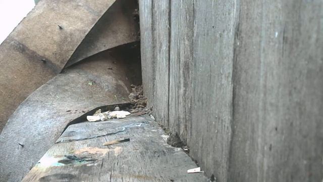 магний+лента фум смотреть онлайн