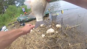 Ошибка при ловле на донку- резинку, которая может угробить рыбалку.