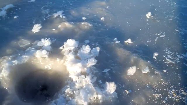 Ice flowers. Кристаллическая изморозь. Ледяные цветы.