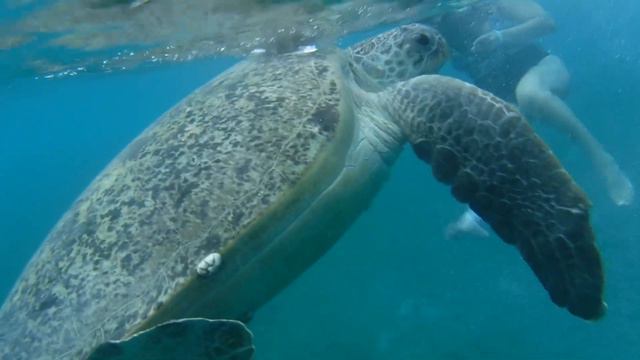 DSCF3221 смотреть онлайн