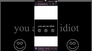 Что будет если запустить youareanidiot.cc на телефоне?