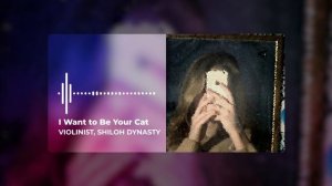 violini5t, Shiloh Dynasty - I Want to be Your Cat (Official Music Video)