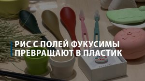 Рис с полей Фукусимы превращают в пластик